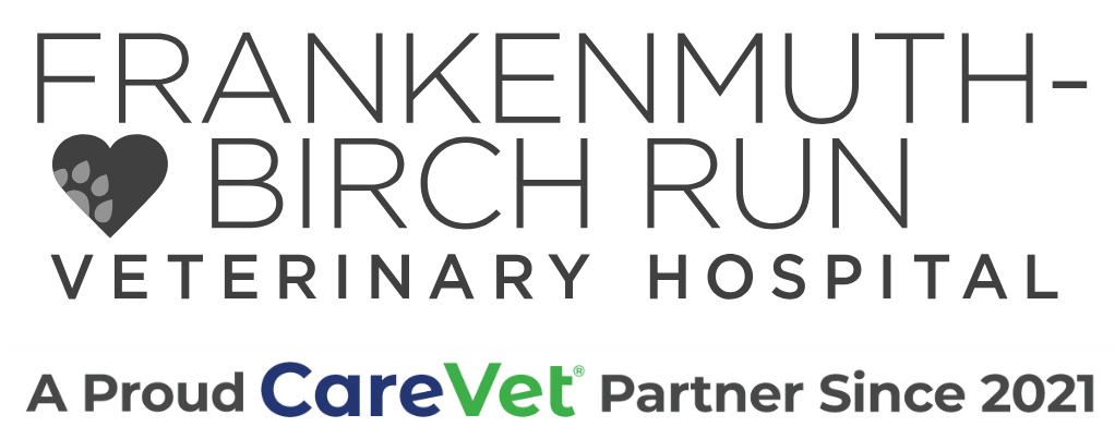 Frankenmuth-Birch Run Logo